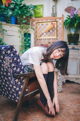 疯狂动物城2(国语版)