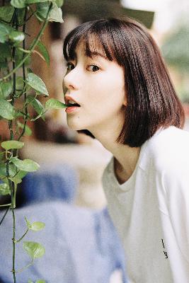 完美世界全集在线观看